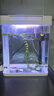 寵街坊小魚(yú)缸一體缸自循環(huán)水族箱桌面客廳小型送禮生態(tài)魚(yú)缸造景240 曬單實(shí)拍圖
