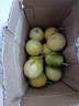 廣西 黃金百香果欽蜜9號(hào)現(xiàn)摘新鮮水果白香果 小果實(shí)惠 5?！拘」?單果30-45g】 曬單實(shí)拍圖