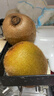 佳沛（zespri）綠奇異果 優(yōu)選大果12粒單果約113-135g  水果 獼猴桃 曬單實(shí)拍圖