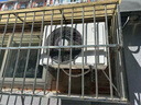小米（MI）米家1.5匹 巨省電pro 超一級能效 變頻冷暖  空調(diào)掛機 35GW-NA20/V1A1 國家補貼20% 2025新款  曬單實拍圖