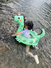 swimbobo兒童游泳圈6歲充氣泳圈小孩大童腋下圈浮圈初學(xué)者游泳圈K5104 曬單實(shí)拍圖