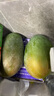 趣嘗鮮 攀枝花凱特芒2粒裝 大果 單果600g+  源頭直發(fā) 一件包郵 曬單實拍圖