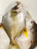 翔泰海南二去金鯧魚700g/2條  去鰓去內(nèi)臟 燒烤 生鮮魚類  海鮮水產(chǎn) 曬單實(shí)拍圖
