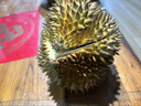 【保4房肉】A級進(jìn)口金枕鮮榴蓮1粒2-2.5kg(M) 曬單實(shí)拍圖