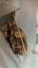 京東京造 秘制孜然羊肉串 凈重1kg 內含約33串 燒烤食材空氣炸鍋露營(yíng)戶(hù)外 曬單實(shí)拍圖