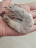 鯨口大開(kāi)【青島蝦】超大蝦新鮮大蝦冷凍鮮活青島大蝦批發(fā)整箱基圍蝦青蝦 15-17厘米鮮蝦速凍 3斤(凈重) 曬單實(shí)拍圖