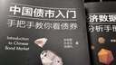 中國債市入門(mén)+宏觀(guān)經(jīng)濟數據分析手冊（共2冊） 李奇霖 曬單實(shí)拍圖