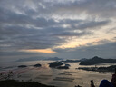 【活蟹】陽(yáng)澄聯(lián)合鮮活大閘蟹現貨全母蟹3.0-3.3兩8只生鮮螃蟹大只去繩足重海鮮禮盒 曬單實(shí)拍圖
