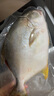 翔泰 海南金鯧魚(yú)凈重900g 2條裝  魚(yú)類(lèi)生鮮 火鍋食材 海鮮水產(chǎn) 中秋 曬單實(shí)拍圖
