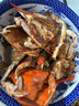 舟山梭子蟹鮮活特大野生大螃蟹新鮮冷凍海鮮水產(chǎn)海蟹飛蟹白蟹順豐 9兩以上/只【5斤凈重 超大肥美】 曬單實(shí)拍圖