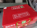 笑廚（XIAOCHU）新疆西紅柿塊400g*12罐裝配料新鮮西紅柿塊番茄0添加劑調(diào)味醬罐頭 曬單實(shí)拍圖