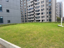 海氏海諾醫用退熱貼兒童型嬰兒物理降溫退燒貼散熱貼清涼冷敷貼 30貼 曬單實(shí)拍圖