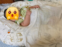 小白豚斜坡枕嬰兒防吐奶可躺喂奶神器新生兒睡覺(jué)用枕頭墊抬頭大號(hào)五個(gè)月 豪華版 （A類(lèi)品質(zhì)）吉祥小象+長(zhǎng)頸鹿枕套 曬單實(shí)拍圖