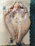 巢三珍 三去開(kāi)背斑點(diǎn)叉尾鮰魚(yú)400g冷凍冰鮮魚(yú)水產(chǎn)烤魚(yú)燒烤食材 曬單實(shí)拍圖