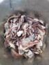 戀品惠二本足魷魚(yú)須 新鮮冷凍魷魚(yú)爪二本足八爪魚(yú)足鐵板魷魚(yú)火鍋年貨 二本足魷魚(yú)須3包 450g(凈重)  /包 曬單實(shí)拍圖