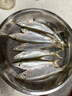 國王路亞高速別針路亞別針連接器釣魚(yú)配件漁具 0號 曬單實(shí)拍圖