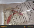 純種錦鯉精品冷水魚大型昭和招財(cái)錦鯉魚池養(yǎng)殖庭院觀賞魚錦鯉 （雙喜臨門）20-23cm2條 精選發(fā) 曬單實(shí)拍圖