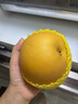 京鮮生 長(cháng)城羊脂秋月梨 正宗大果 凈重5斤 6-8粒 生鮮水果中秋禮盒彩箱 曬單實(shí)拍圖