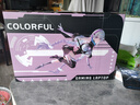 七彩虹（Colorful）隱星G16 Pro 2025年旗艦版16英寸14代酷睿i9 RTX5070Ti/5080顯卡P16 Pro輕薄設(shè)計(jì)游戲本筆記本電腦 i7-14650HX 5060 16G 1 曬單實(shí)拍圖