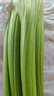 京鮮生山東新鮮大西芹凈重4.5斤榨汁現(xiàn)挖芹菜鮮嫩蔬菜 去半葉源頭直發(fā) 曬單實(shí)拍圖
