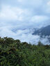 ALPINT MOUNTAIN防風(fēng)防寒保暖防潑水手套男士冬季滑雪騎行騎車(chē)摩托車(chē)防滑加厚手套 曬單實(shí)拍圖