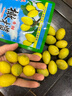 正宗潮汕特產(chǎn)新鮮現摘黃橄欖果 生吃榨汁稀有橄欖黃金橄欖果當季 1斤推薦【試吃】 潮汕正宗百年老樹(shù)香種橄欖 曬單實(shí)拍圖