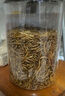 捕漁達人 面包蟲(chóng)干250g 倉鼠糧食刺猬蘆丁雞鴨黃粉蟲(chóng)龜糧鸚鵡零食物面包蟲(chóng) 曬單實(shí)拍圖