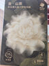 babycare山茶花兒童一次性?xún)妊潨缇慕瞧浇莾妊澛眯忻庀?女童 S碼 4條 曬單實(shí)拍圖