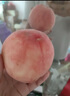 山姆大叔金秋水蜜桃【順豐-多地次日達】紅蜜新鮮桃子水果禮盒中秋禮品 特級【金獎·爆甜果】單果5-6兩 實(shí)惠輕享【8枚爽吃裝】狠劃算 曬單實(shí)拍圖