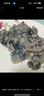 海底撈撈派蝦滑120g*7連包 蝦含量≥90%生鮮涮鍋關(guān)東煮丸滑丸子火鍋食材 曬單實(shí)拍圖