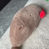 范爺家海豹玩偶公仔抱枕女生睡覺(jué)毛絨玩具靠枕生日禮物送男女友閨蜜兒童 曬單實(shí)拍圖