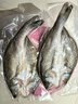 仙泉湖冷凍三去白蕉海鱸魚700g/袋 生鮮水產(chǎn)食材(350g*2條)  曬單實拍圖