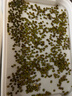 芷郁豆芽發(fā)芽盆育苗盤(pán)家用生豆芽機黃綠豆芽罐種植豌豆苗神器白色單層 曬單實(shí)拍圖