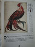 山海經(jīng)刷邊版 國韻山海神獸圖鑒 絕美山海經(jīng) 異獸圖鑒 數藝設出品 曬單實(shí)拍圖