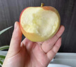 新疆阿克蘇嘎啦蘋(píng)果9斤新鮮水果當季現摘脆甜紅富士加力小平果L3 5斤中果【中通快遞新疆直發(fā)】 曬單實(shí)拍圖
