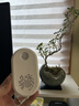 音美客除煙味神器室內(nèi)負(fù)離子空氣凈化器家用除菌除甲醛衛(wèi)生間異臭味寵物 智能凈味器4000MAH 曬單實拍圖