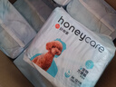HONEYCARE好命家 狗狗紙尿褲公狗尿不濕安全褲 M適用體重16-33kg/12片12包 曬單實(shí)拍圖