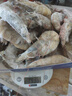 GUO LIAN國聯(lián) 國產(chǎn)鹽凍大蝦 無(wú)冰凈重3斤 特大號45-60只 白對蝦中秋海鮮 曬單實(shí)拍圖