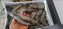 GUO LIAN國聯(lián)生鮮鹽凍大蝦 去冰凈重3斤 73-90只 盒裝活凍 海鮮海產(chǎn)冷凍蝦 曬單實(shí)拍圖