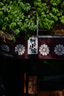 尼康（Nikon）尼克爾 Z 24-200mm f/4-6.3 微單鏡頭 VR 全畫幅微單變焦鏡頭 尼克爾微單相機鏡頭 七夕送禮好物 曬單實拍圖