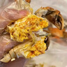 【活蟹】陽澄戰(zhàn)地大閘蟹 鮮活大螃蟹公蟹母蟹 海鮮水產(chǎn)生鮮禮盒 公4.5-4.8兩母3.5-3.8兩4對8只 曬單實拍圖