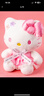 凱蒂貓（hellokitty）三麗鷗KT貓毛絨玩偶玩具抱枕娃娃七夕情人節禮物女孩生日高級小眾 曬單實(shí)拍圖