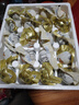 竹燕青烤海鴨蛋80g*20枚特大蟹香流油北海紅樹(shù)林散養開(kāi)袋即食熟咸鴨蛋 曬單實(shí)拍圖