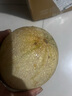京鮮生 哈密瓜西州蜜25號 凈重6-7斤1-2粒裝 源頭直發(fā)包郵 曬單實(shí)拍圖