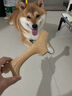 貴為（GiGwi）狗玩具磨牙棒狗狗磨牙玩具中大型犬狗狗玩具用品木塑鹿角M 曬單實(shí)拍圖