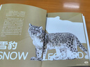 【贈送明信片】中國大貓 中國國家地理虎 雪豹 兔猻 荒漠貓等13種中國野生貓科動(dòng)物的發(fā)展及保護故事 無(wú)窮小亮推薦 曬單實(shí)拍圖