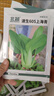 北蔬 小青菜種子苗上海青梗菜油菜種籽 速生605上海青種子50g約2萬粒 曬單實拍圖