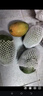 正宗金煌芒果【JD順豐中通速運】新鮮水果青皮芒果水果禮盒送禮 9斤【家庭暢享-超值裝】?jì)?斤 巨無(wú)霸果【單果300g+】越大越甜 曬單實(shí)拍圖
