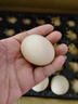 貴州谷物鮮雞蛋精選大蛋柴雞蛋農(nóng)家散養(yǎng)柴雞蛋笨雞蛋50g/枚 谷殼包裝當天鮮雞蛋30枚50g/枚 曬單實拍圖