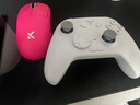 飛智冰原狼3多模版無線手柄DW12C類xbox手柄Switch電腦Steam黑神話悟空游戲手柄明末淵虛之羽手柄 飛智冰原狼3 曬單實拍圖